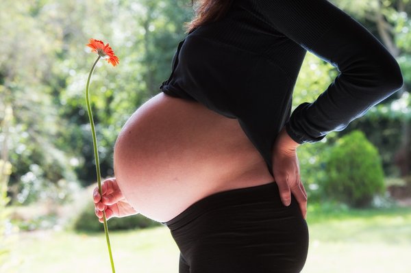 Which specific herbal supplements should be avoided during pregnancy in the UK?